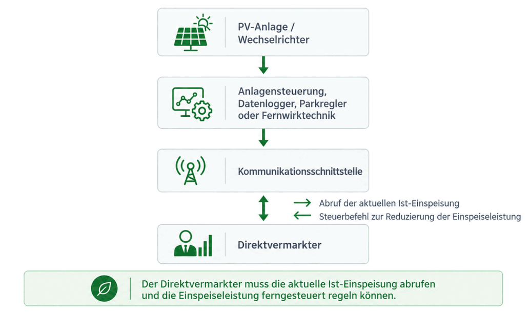 Infografik Steuerung der Direktvermarktung